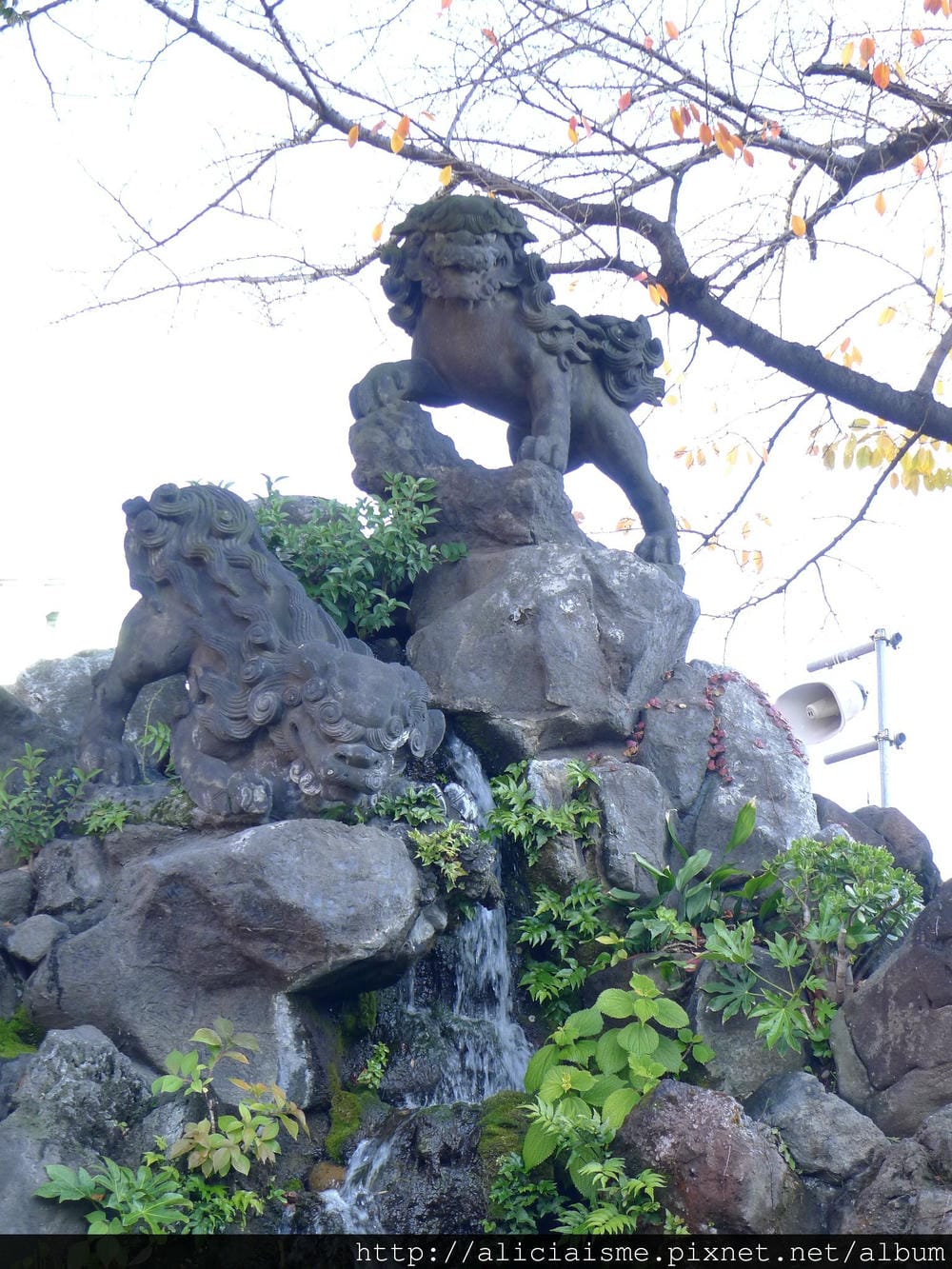 P1080033.JPG