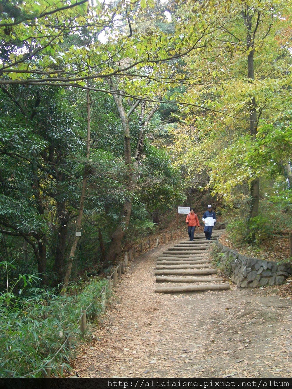 CIMG0297.JPG CIMG0297.JPG