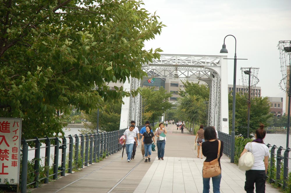 汽車道 (2).JPG