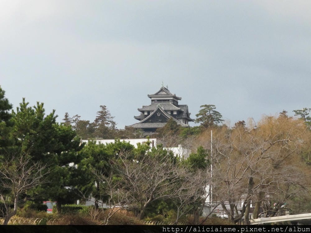 IMG_1351 IMG_1351
