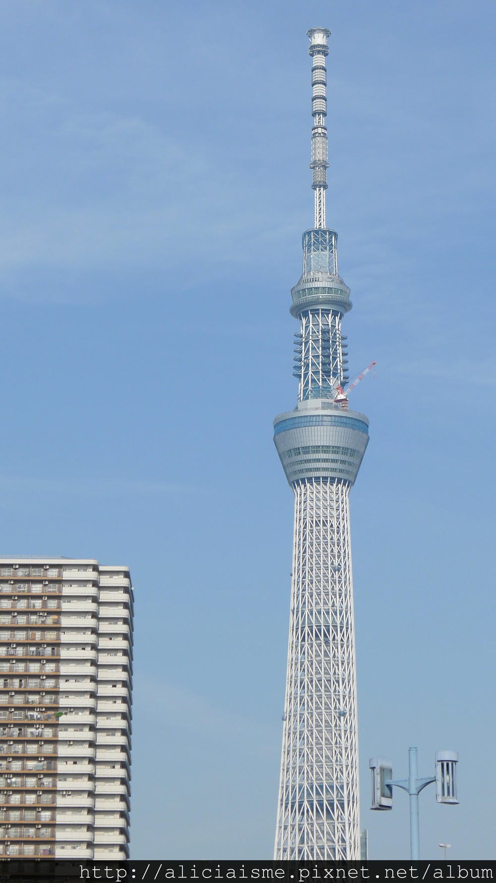 P1180851.JPG