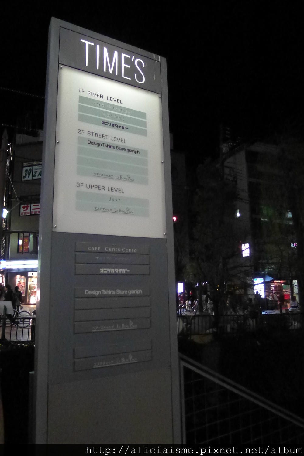 P1100019