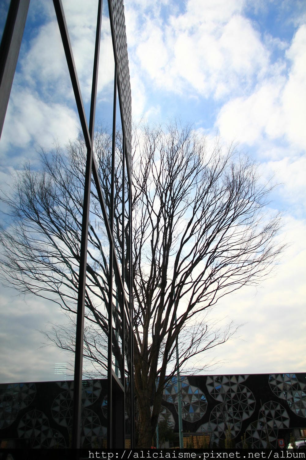 IMG_7301 IMG_7301
