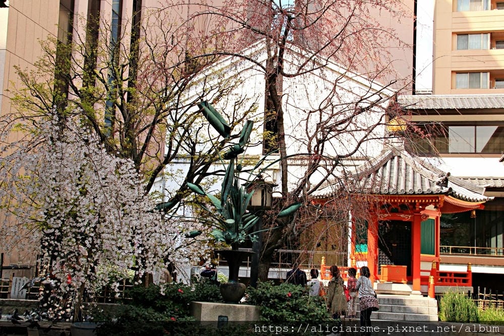 【京都】六角堂:京都原點,御幸櫻下的十六羅漢們裡,尋求六根清淨