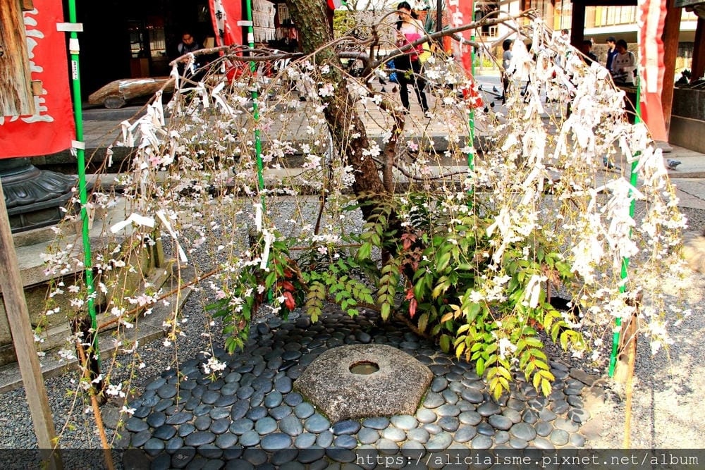 【京都】六角堂:京都原點,御幸櫻下的十六羅漢們裡,尋求六根清淨