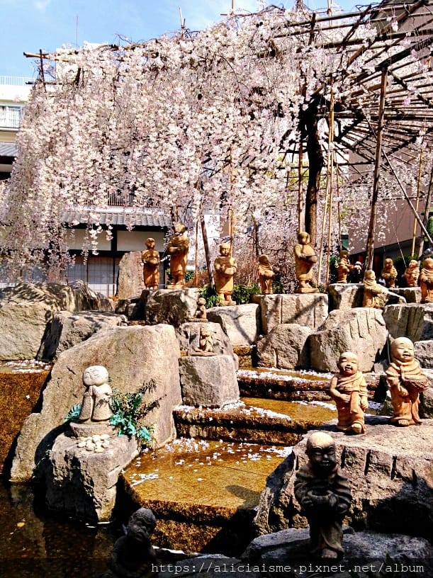 【京都】六角堂：京都原點，御幸櫻下的十六羅漢們裡，尋求六根清淨