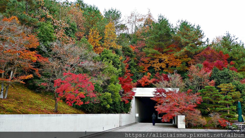 【滋賀縣】貝聿銘XMiho(美秀)美術館: 隱身山中美術館，世外桃花源的美學仙境