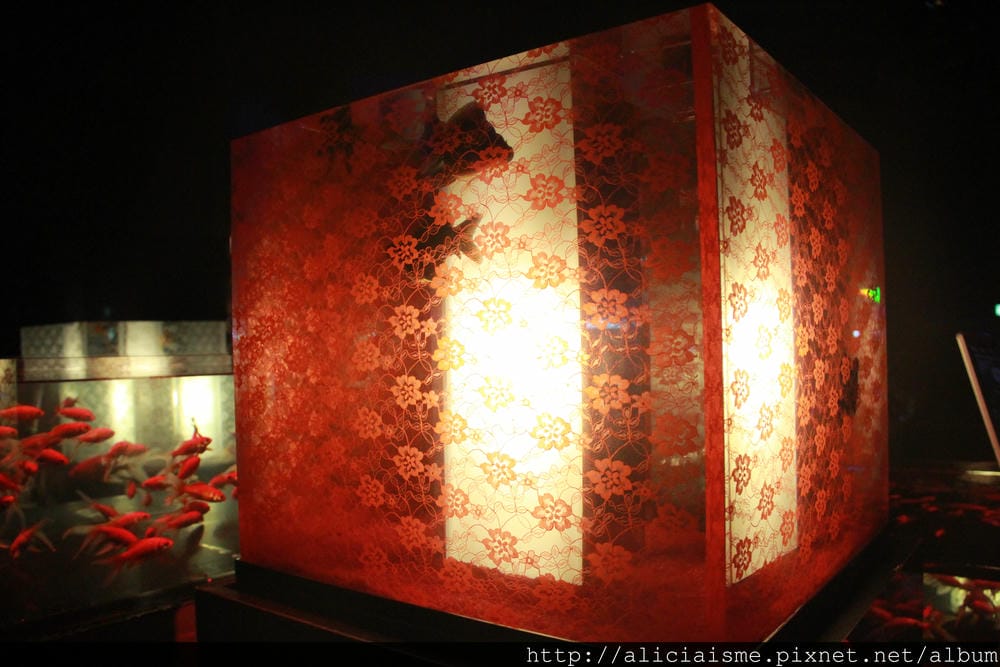 IMG_8459 IMG_8459