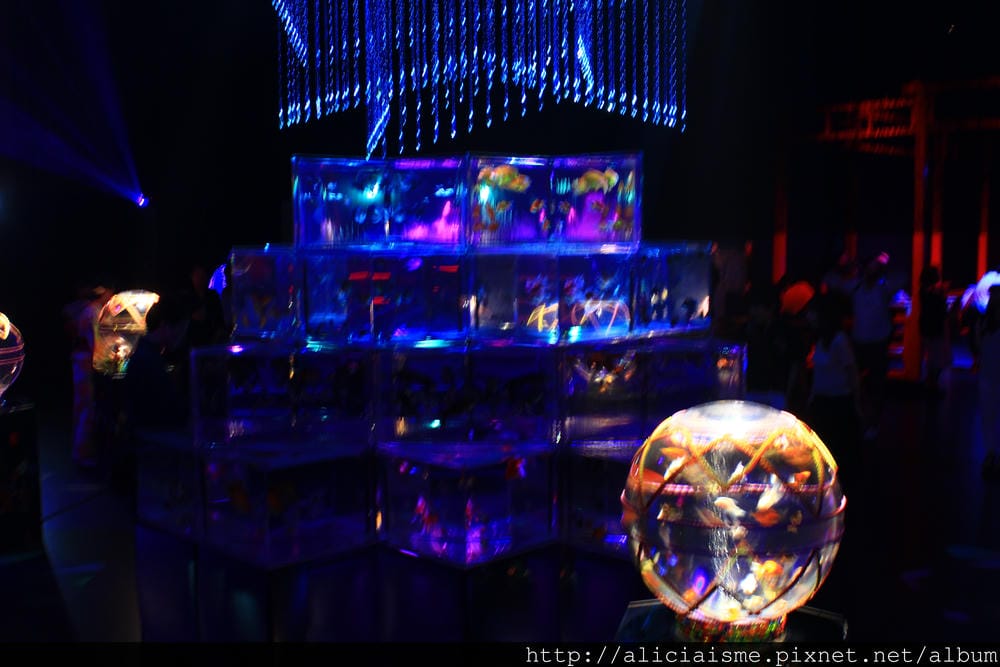 IMG_4722.JPG IMG_4722.JPG