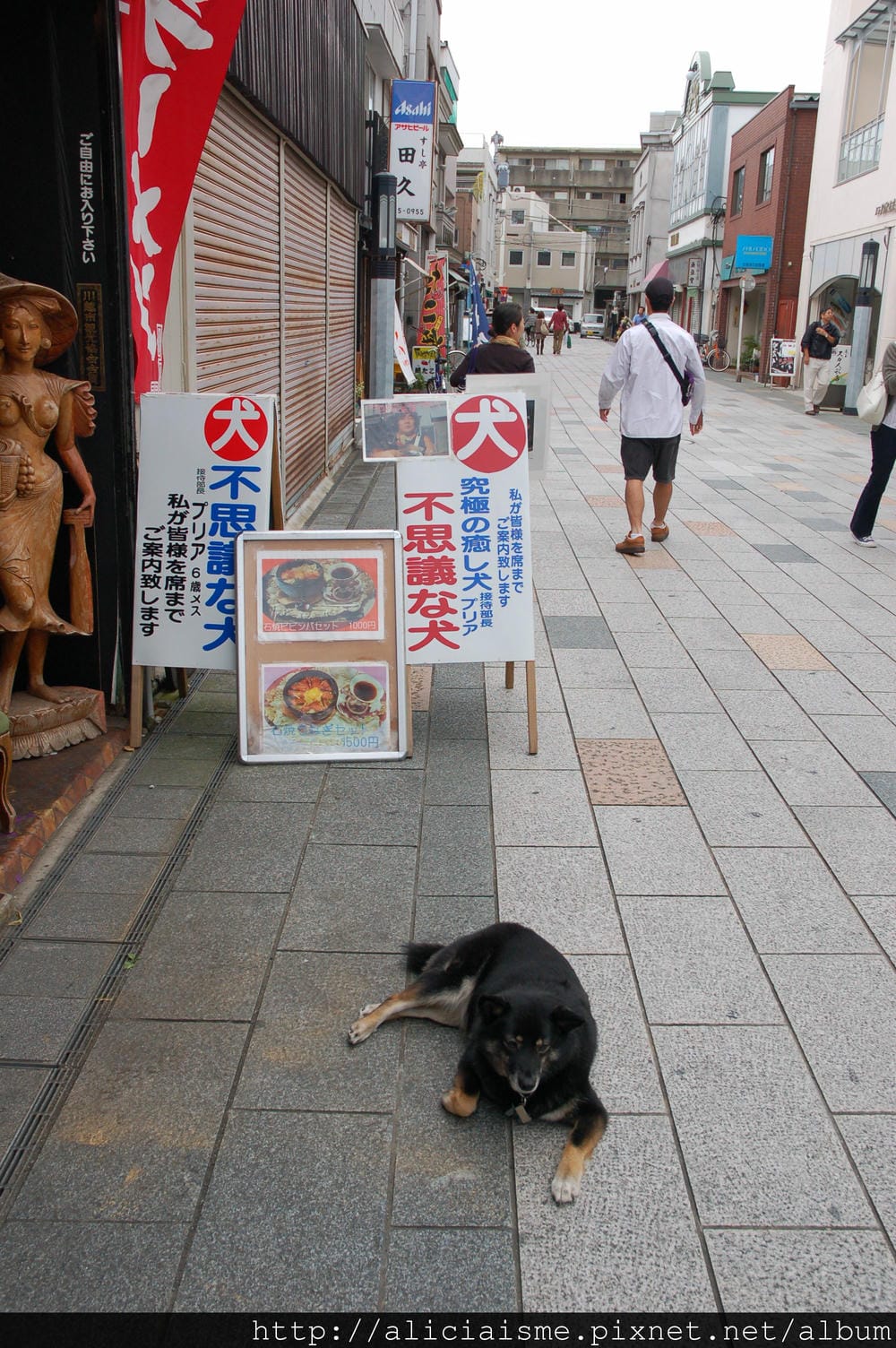 DSC_9550 DSC_9550