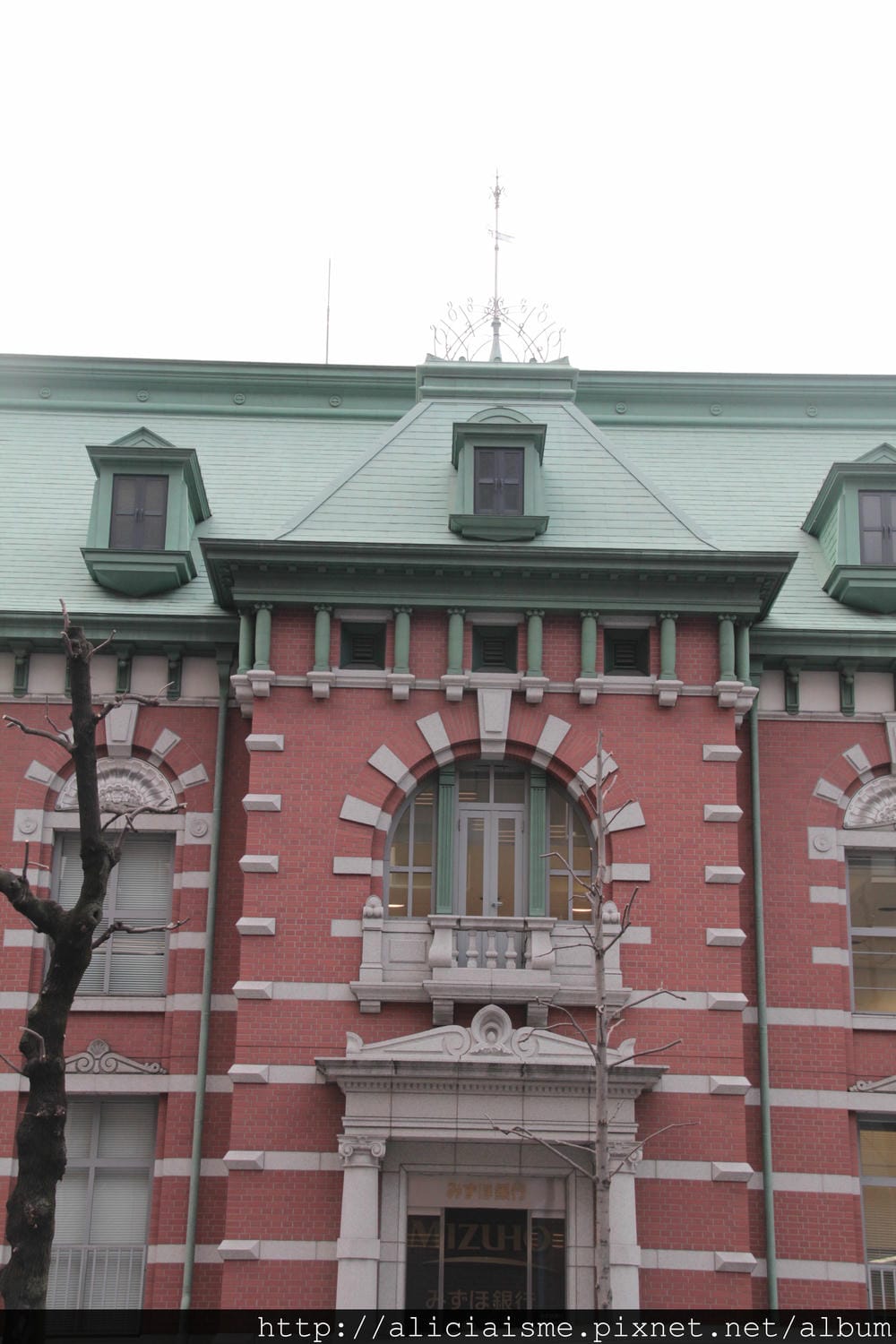 IMG_2370 IMG_2370