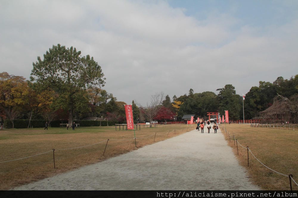 IMG_2204 IMG_2204