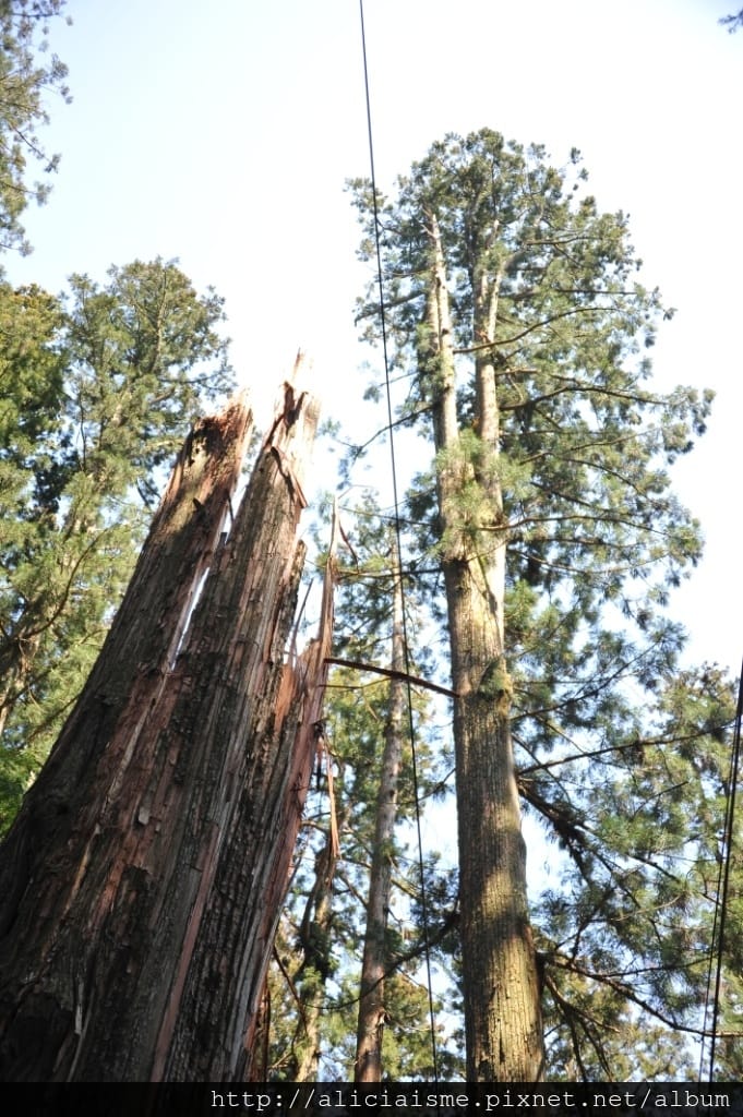 DSC_3360.JPG DSC_3360.JPG