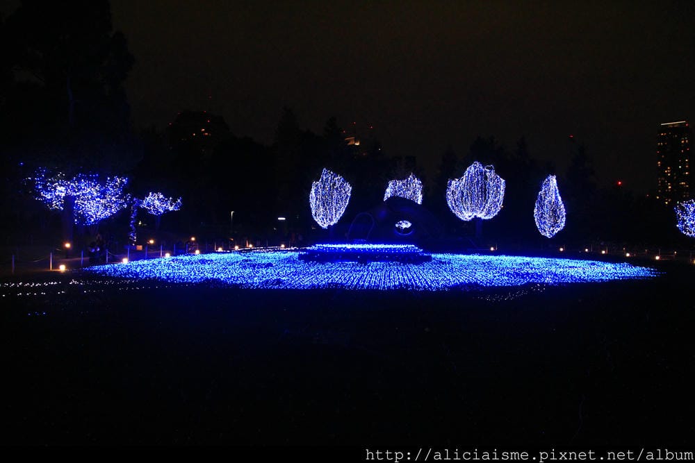 IMG_5456 IMG_5456