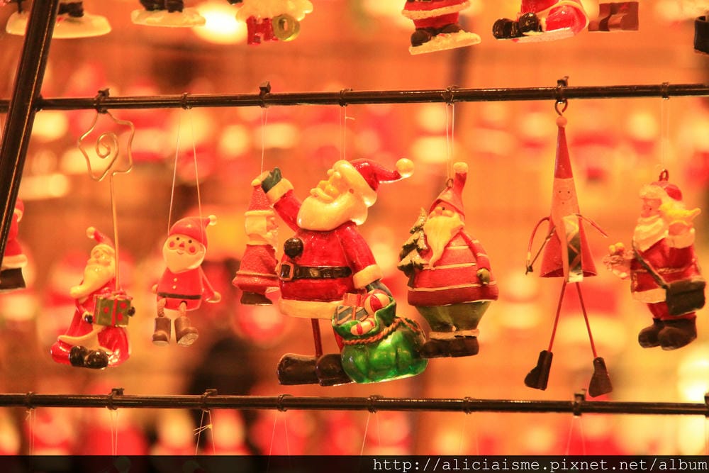 IMG_5230 IMG_5230