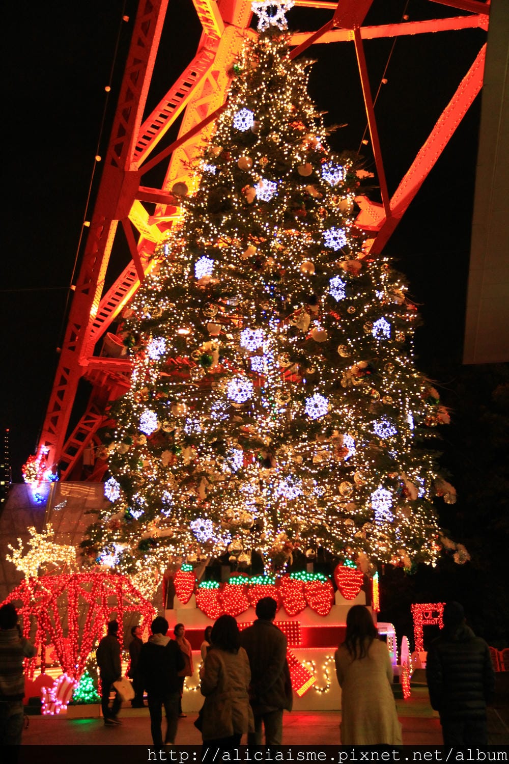 IMG_0127 IMG_0127