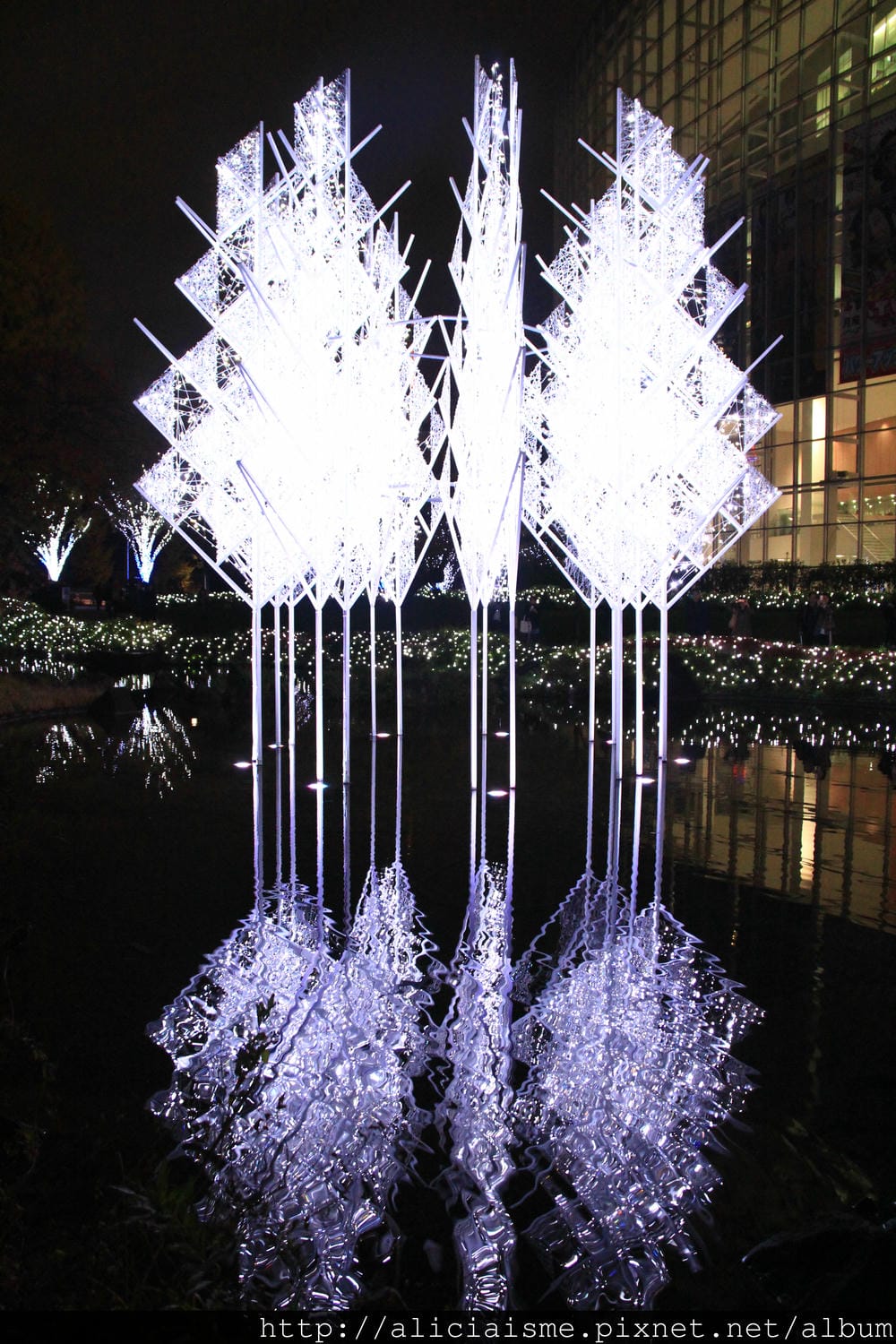 IMG_5552 IMG_5552