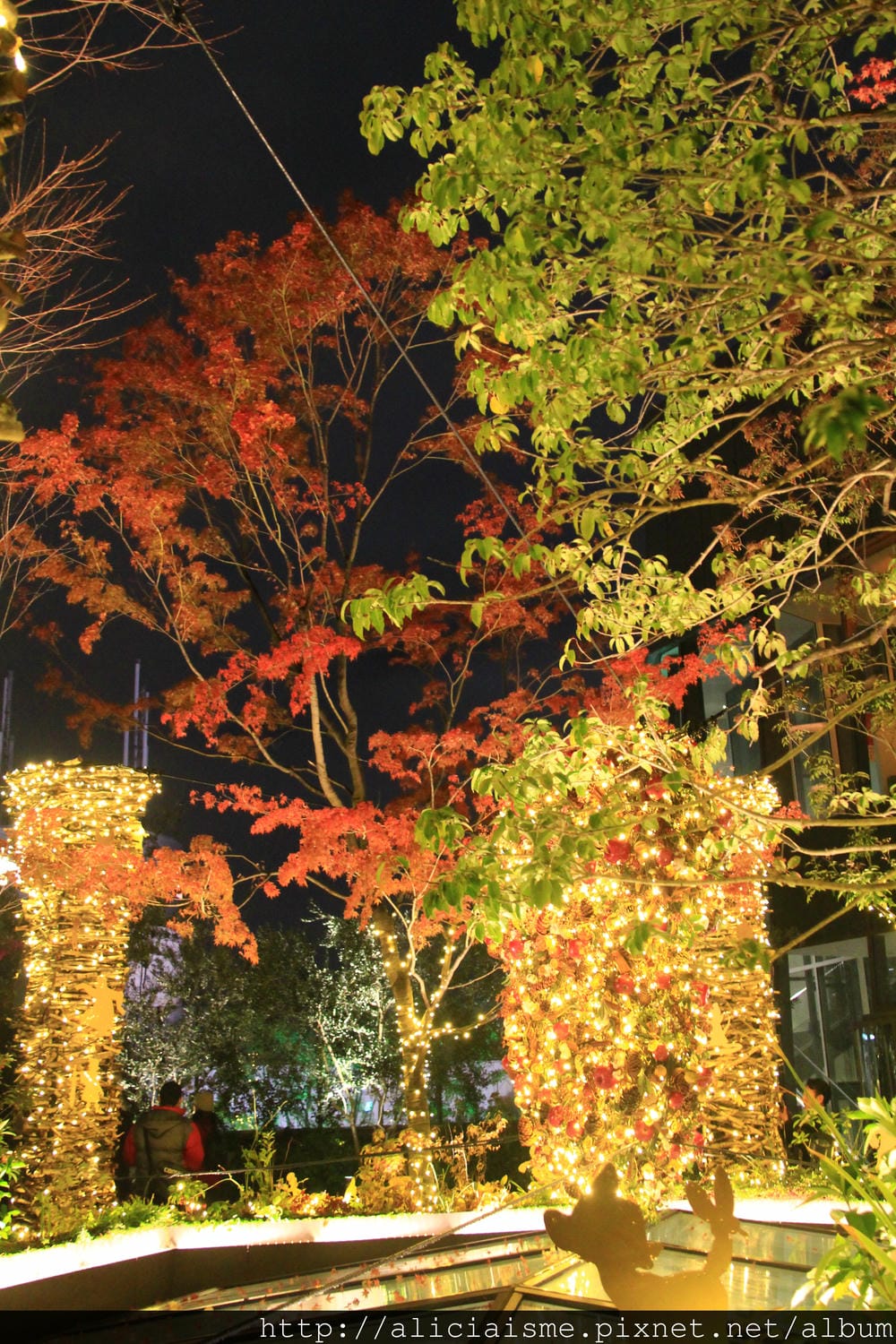 IMG_9849 IMG_9849