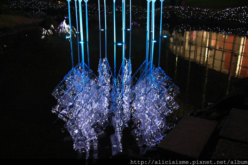 IMG_5543 IMG_5543