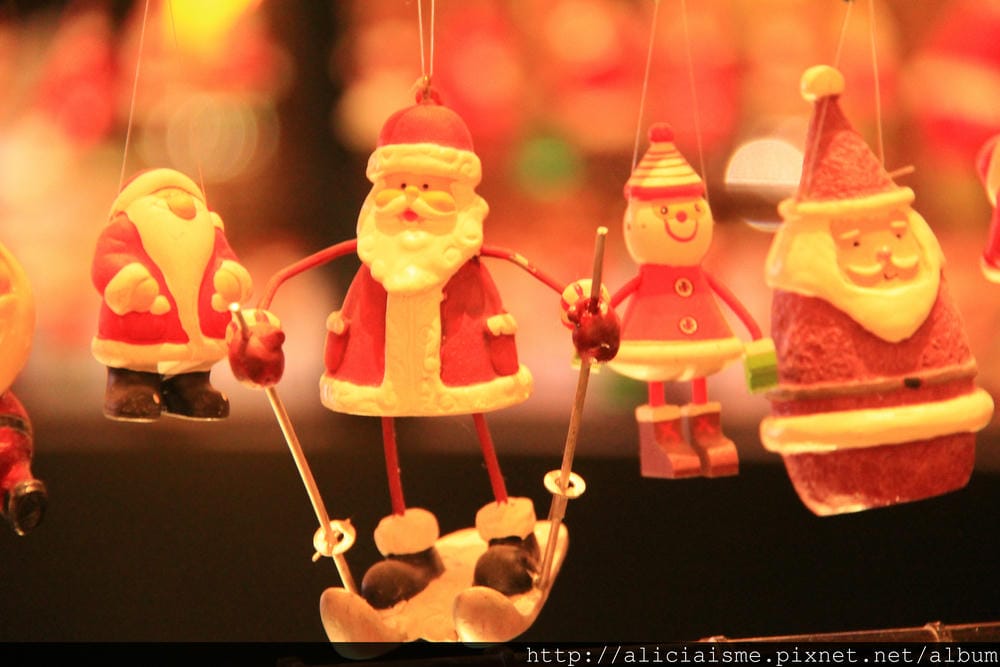 IMG_5242 IMG_5242
