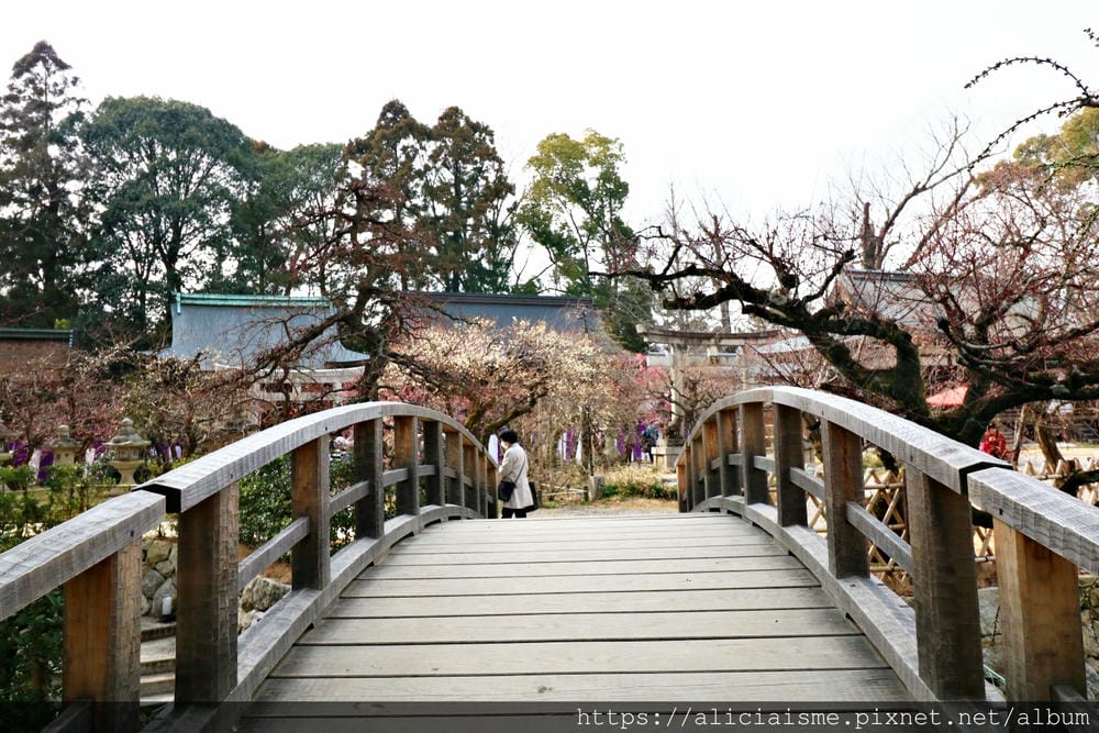 【京都府】北野天滿宮～求合格也是梅花、紅葉名所