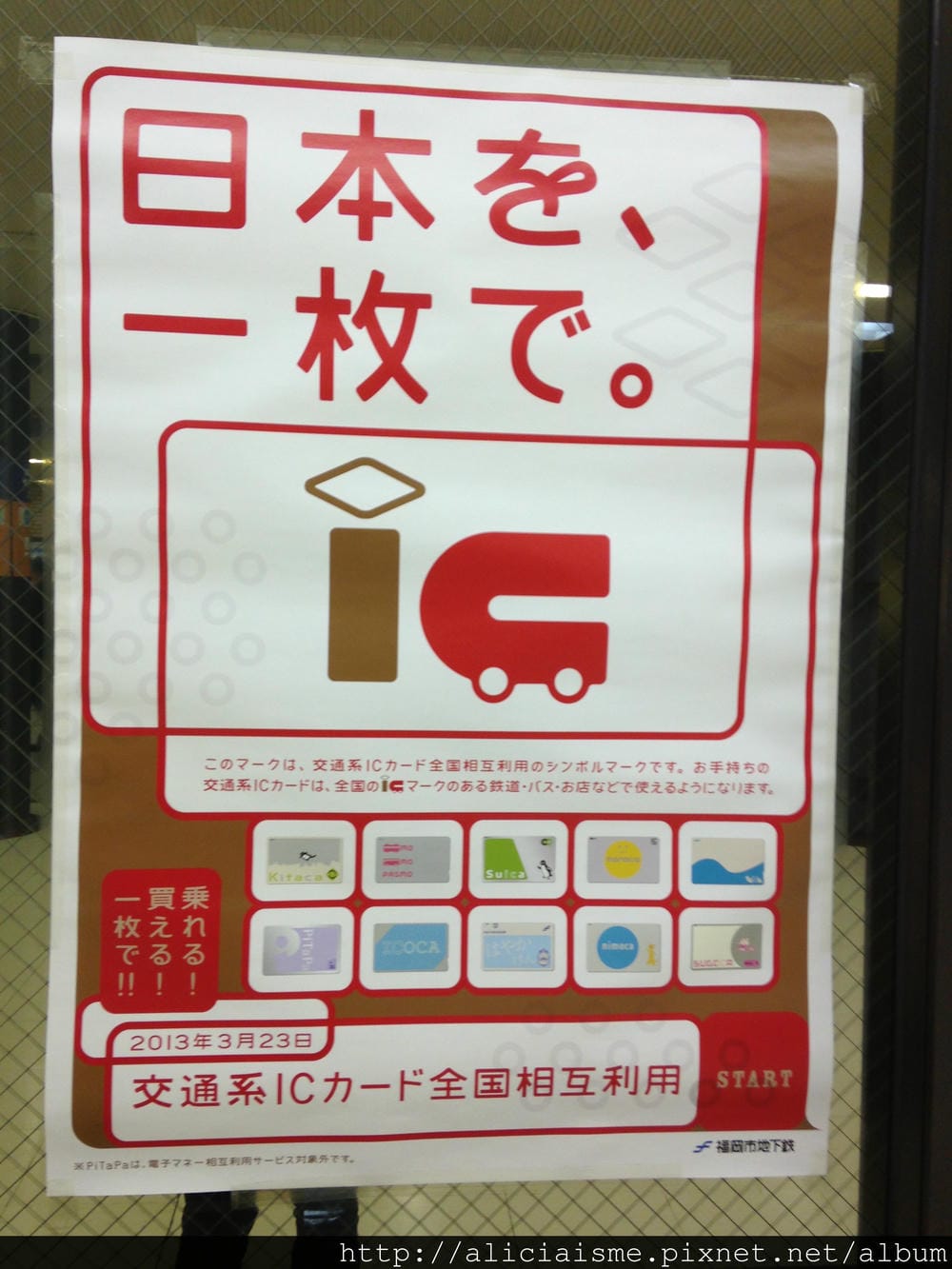 写真 (1)