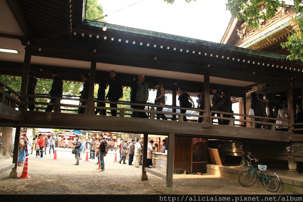 IMG_4747 IMG_4747