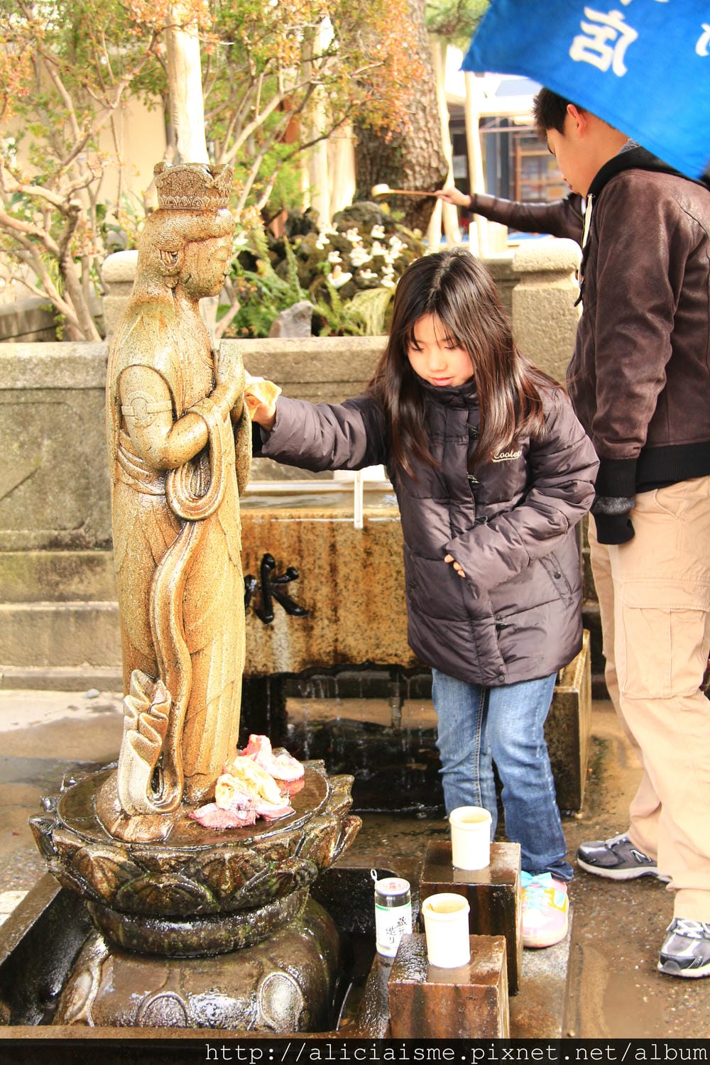 IMG_4795 IMG_4795