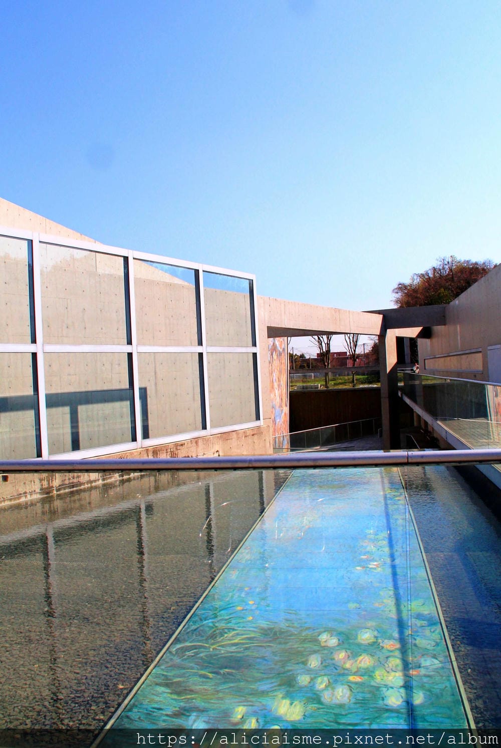 【京都市】陶板（陶版）名畫之庭：光影建築師安藤忠雄、印象派光影畫家莫內的跨時空戶外美之饗宴