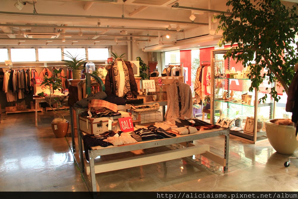 IMG_7513 IMG_7513