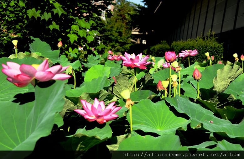 P0100047.jpg P0100047.jpg