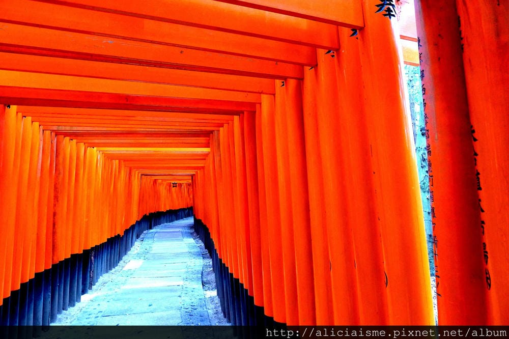 P1120010 - 複製.JPG