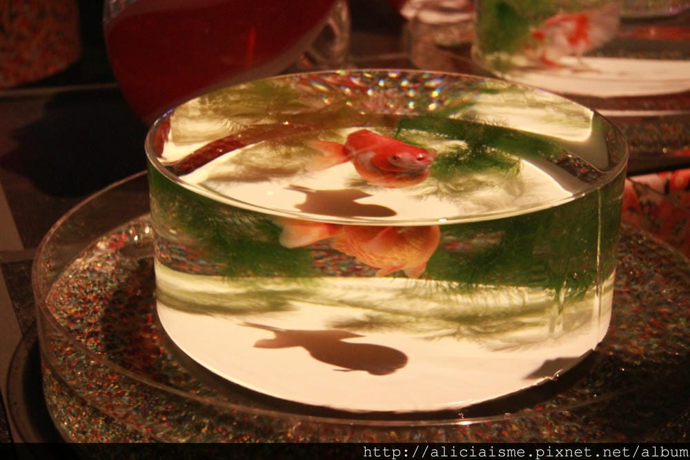 IMG_8548 IMG_8548