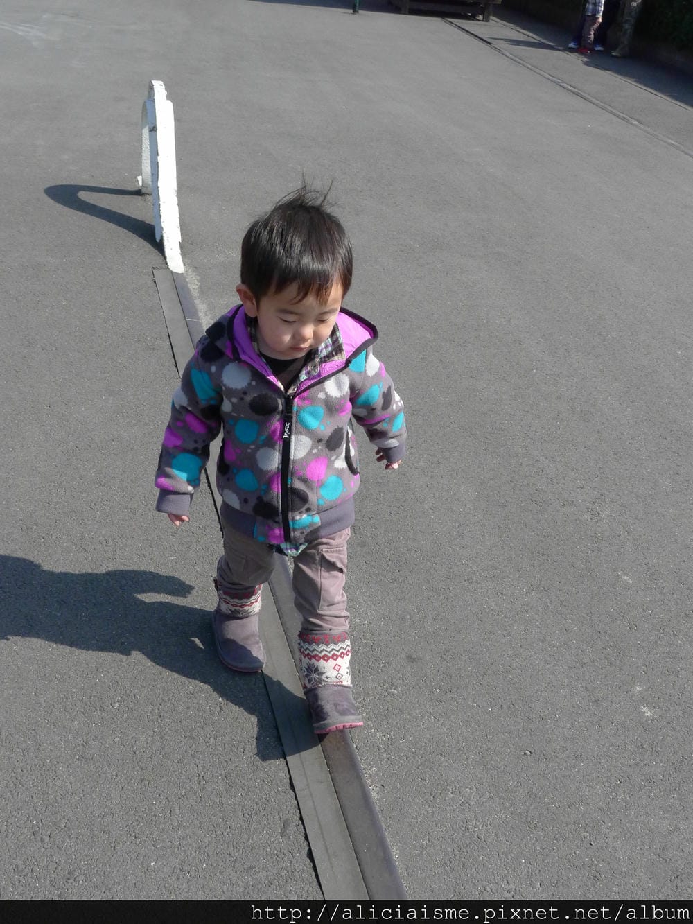 P1290566.JPG P1290566.JPG