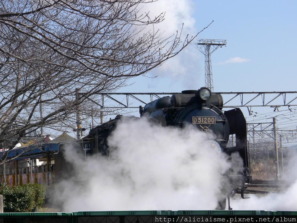P1290520.JPG P1290520.JPG