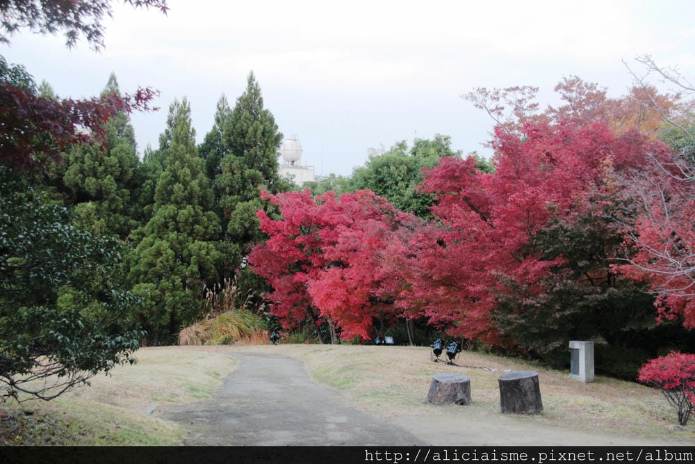 IMG_2422.JPG IMG_2422.JPG