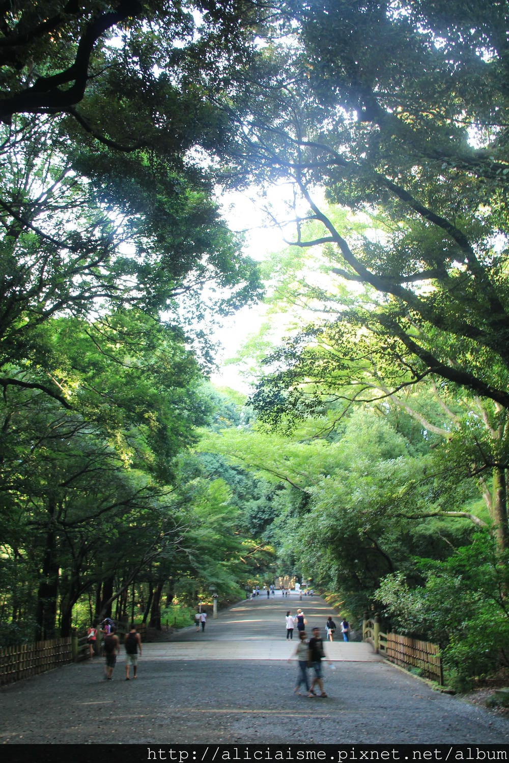 IMG_0853 - 複製.JPG IMG_0853 - 複製.JPG