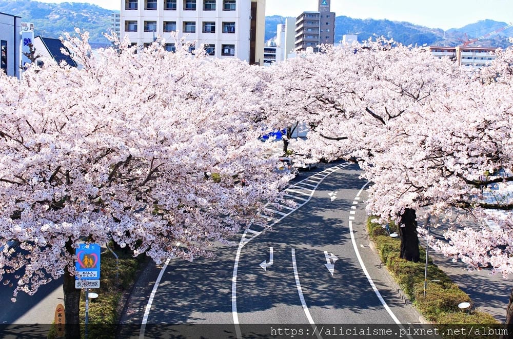【茨城縣】妹島和世*日立車站~太平洋碧海藍天下最美的海上夢幻 【茨城縣】妹島和世*日立車站~太平洋碧海藍天下最美的海上夢幻