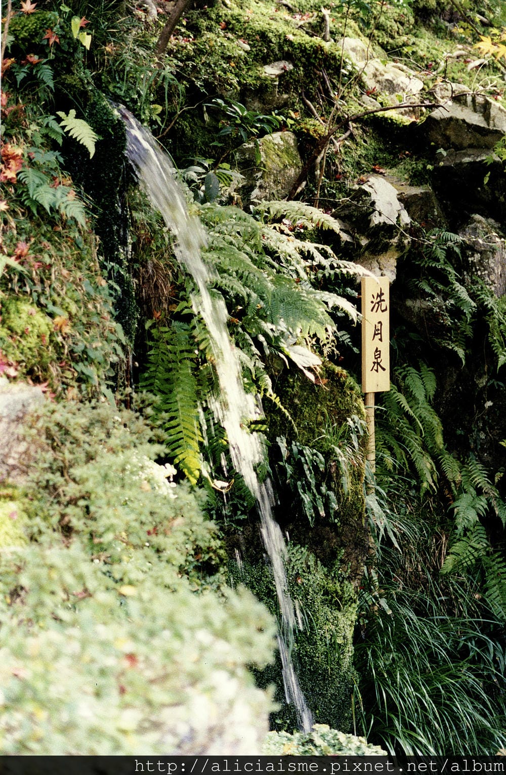 銀閣寺10.jpg