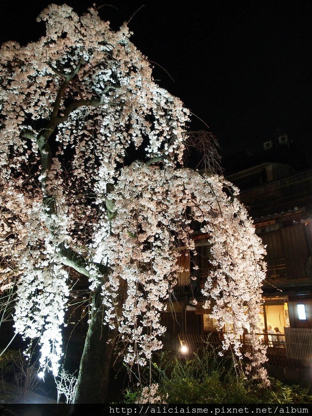 C0120409.jpg C0120409.jpg