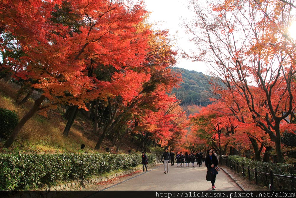 IMG_5814.JPG IMG_5814.JPG
