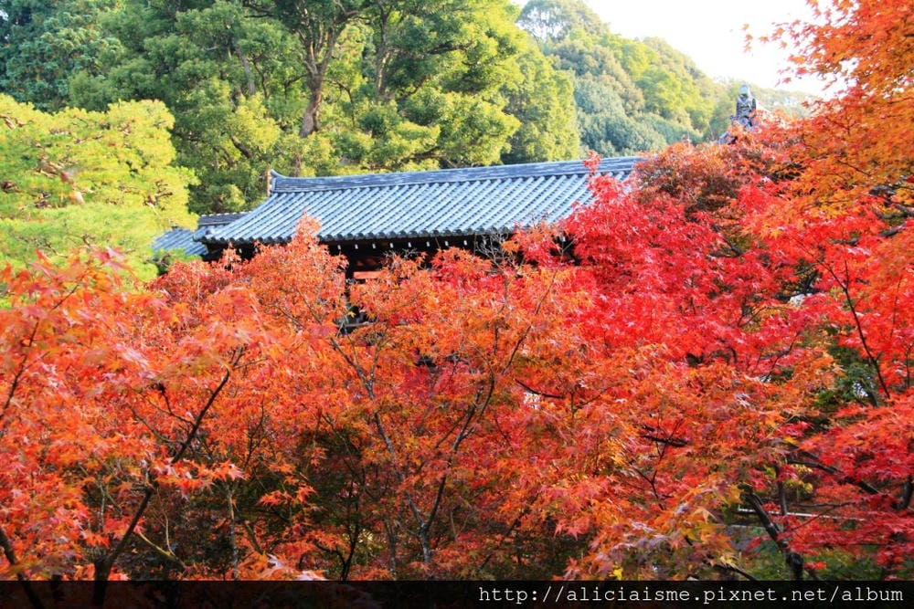 IMG_2213.JPG IMG_2213.JPG