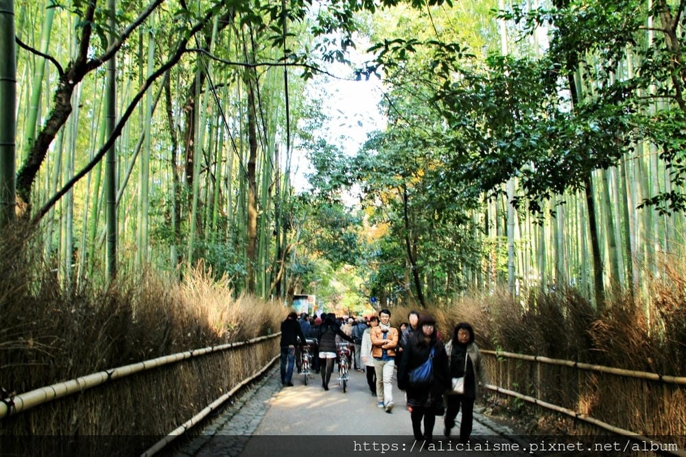 【京都 | 嵐山 】竹林之道（竹林隧道）：電影《藝伎回憶錄》裡，詩意的美學散策道，串連嵐山嵯峨的美麗寺院