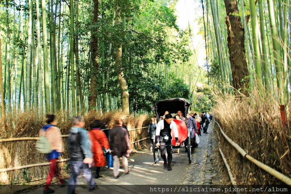 【京都 | 嵐山 】竹林之道（竹林隧道）：電影《藝伎回憶錄》裡，詩意的美學散策道，串連嵐山嵯峨的美麗寺院