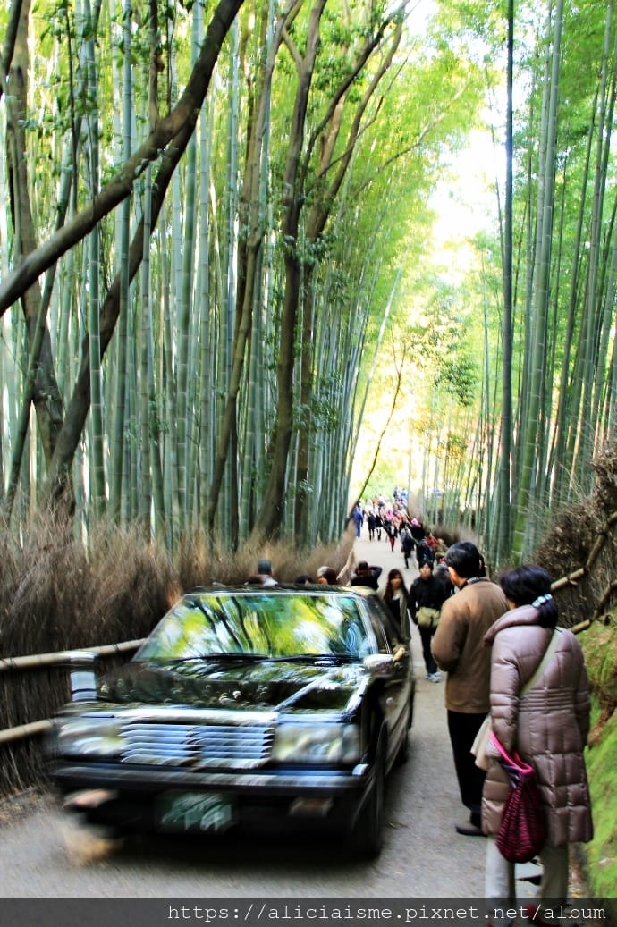 【京都 | 嵐山 】竹林之道（竹林隧道）：電影《藝伎回憶錄》裡，詩意的美學散策道，串連嵐山嵯峨的美麗寺院