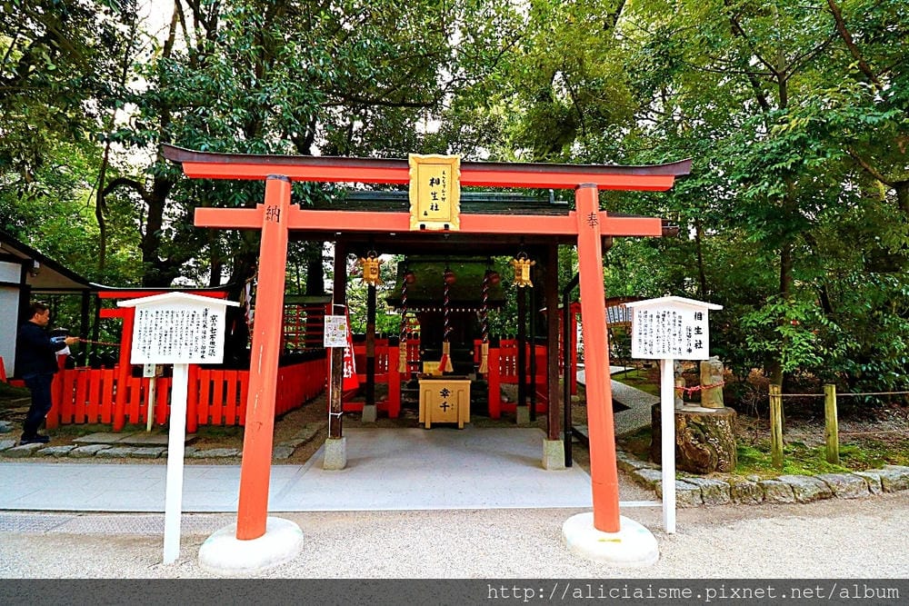 【京都】下鴨神社:世界遺產裡,尋良緣、水籤、拜自己生肖守護神的千年神社