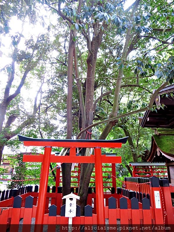 【京都】下鴨神社:世界遺產裡,尋良緣、水籤、拜自己生肖守護神的千年神社