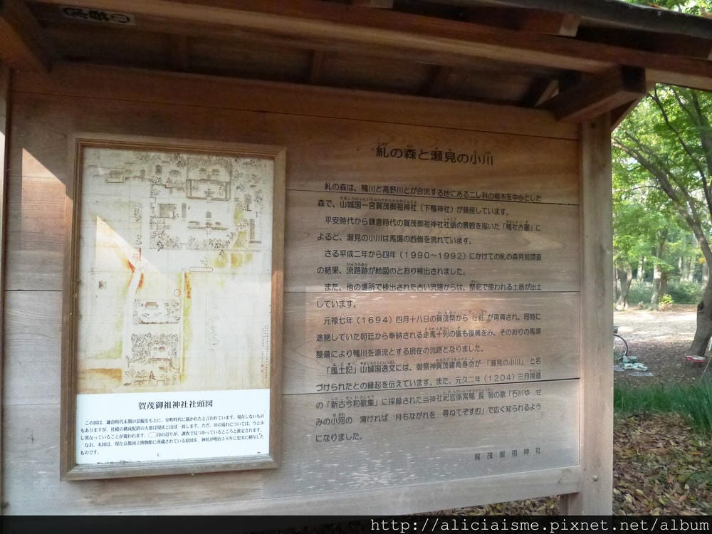 P1240390.JPG