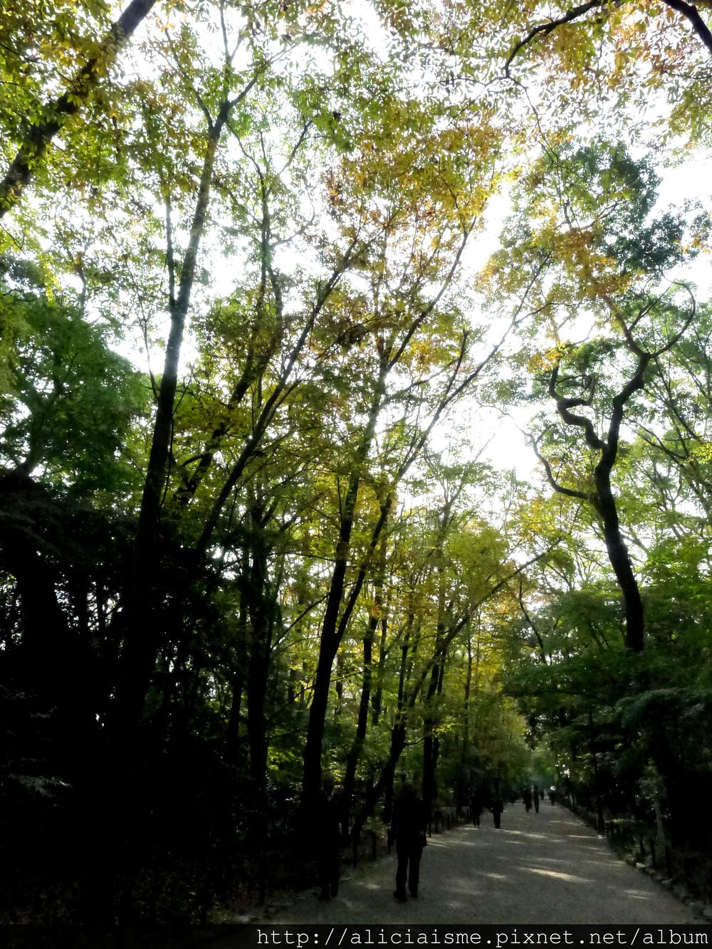 P1240386.JPG
