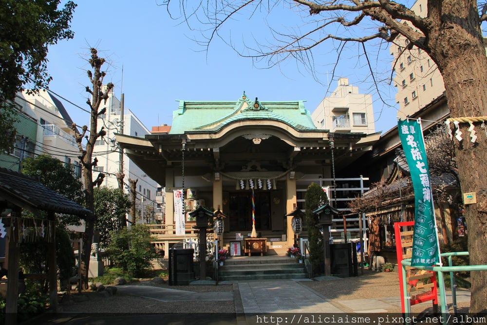 IMG_4269 IMG_4269